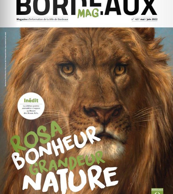 Présentation du réseau de chaleur dans Bordeaux Mag